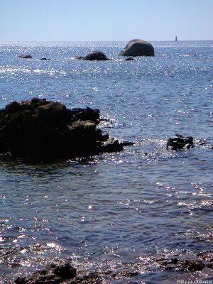 puzzle model Corsican Shore 1