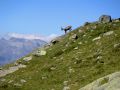 thumbnail Alpes 01