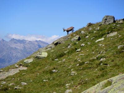 puzzle model Alpes 01