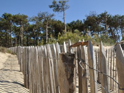 puzzle model Fencing