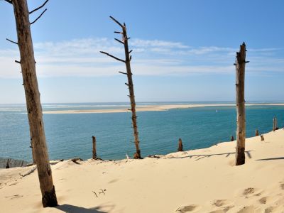 puzzle model Dune Du Pilat