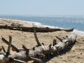 thumbnail Summer Beach