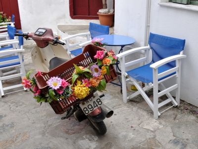 puzzle model The Moped