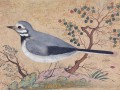 thumbnail Study of a Bird (miniature)