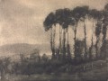 thumbnail Toucques Valley