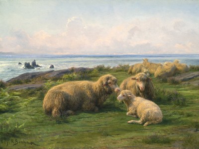 puzzle model Moutons au bord de la mer
