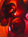 thumbnail Red abstraction