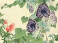 thumbnail Aristolochia And Albizia