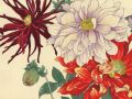 thumbnail Dahlia