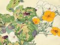 thumbnail Pavot de Californie et Coleus