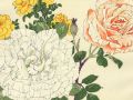 thumbnail Rose