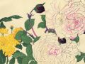 thumbnail Rose