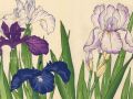 thumbnail Iris