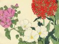 thumbnail Lychnis And Mallow