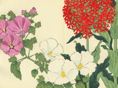 puzzle model Lychnis And Mallow