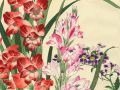thumbnail Schizanthus And Gladiolus