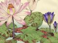 thumbnail Nymphaea (Water Lily)
