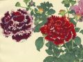 thumbnail Petunia