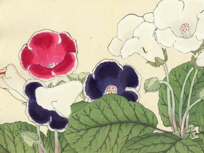 puzzle model Gloxinia