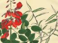 thumbnail Panicum And Erythrina