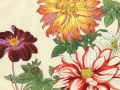 thumbnail Dahlia