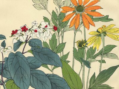 puzzle model Rudbeckia And Clerodendron