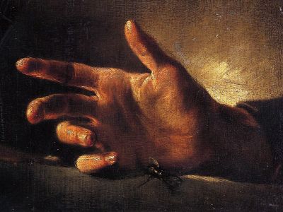 puzzle model Study of A Hand Catching A Big Fly