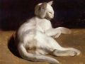 thumbnail White Cat