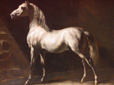 puzzle model Grey Arab Horse