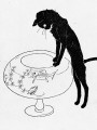 thumbnail Cats : Pictures without Words