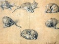 thumbnail Six studies of a cat