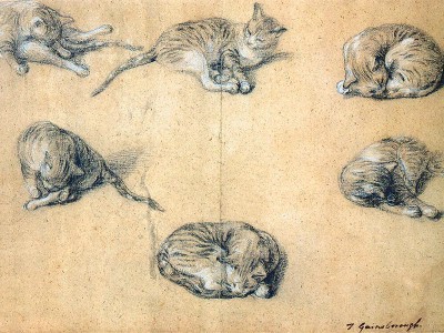 puzzle model Six studies of a cat