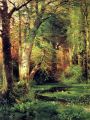 thumbnail Forest Scene