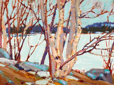 puzzle model Ice Covered Lake