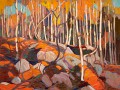thumbnail The Birch Grove, Autumn
