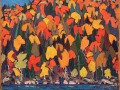 thumbnail Autumn Foliage