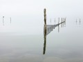 thumbnail Reflections