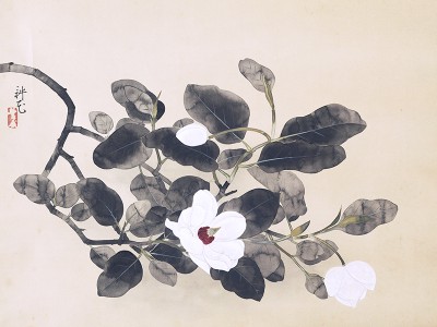 puzzle model Magnolia Branch