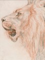 thumbnail Head of a Male Lion