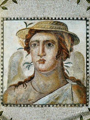 puzzle model Sala delle Dame of the Quirinale Palace (Roman Mosaic)