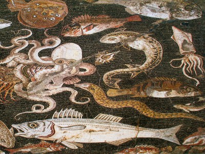 puzzle model English: Mosaic of marine life, Pompeii (roman mosaic)