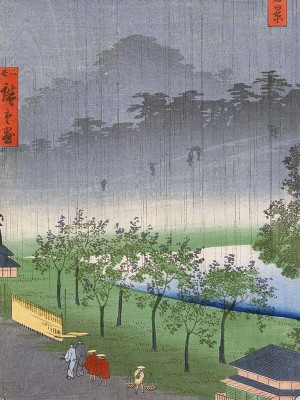 puzzle model Paulownia plantation at Akasaka in the evening rain