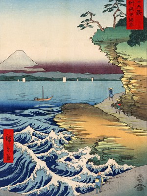 puzzle model The Coast at Hota