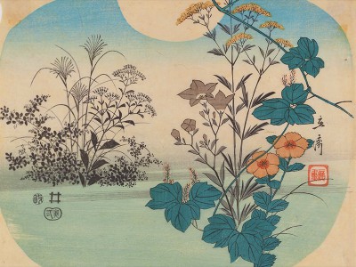 puzzle model Seven Autumn Herbs