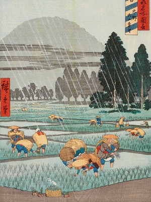 puzzle model Oyama. Repiquage du riz