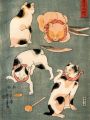 thumbnail Four cats in different poses illustrating Japanese proverbs