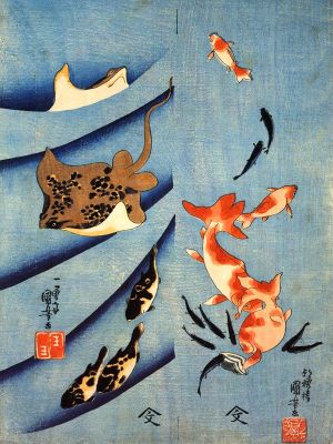 puzzle model Raie et poissons rouges