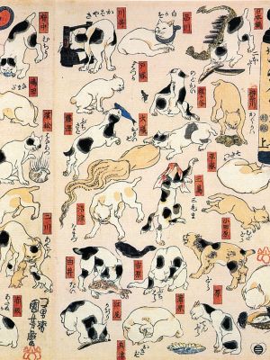 puzzle model Cats Positions 53