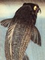 thumbnail Black Carp