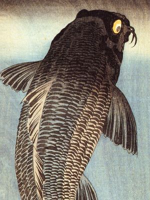puzzle model Black Carp